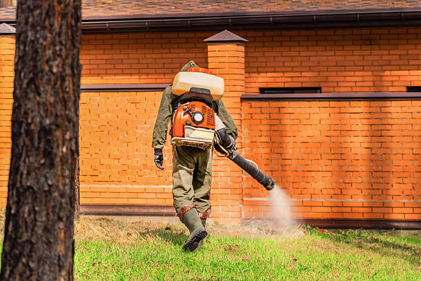 Trusted Ant Control service in Hawthorne, NJ - Nex Pest Control